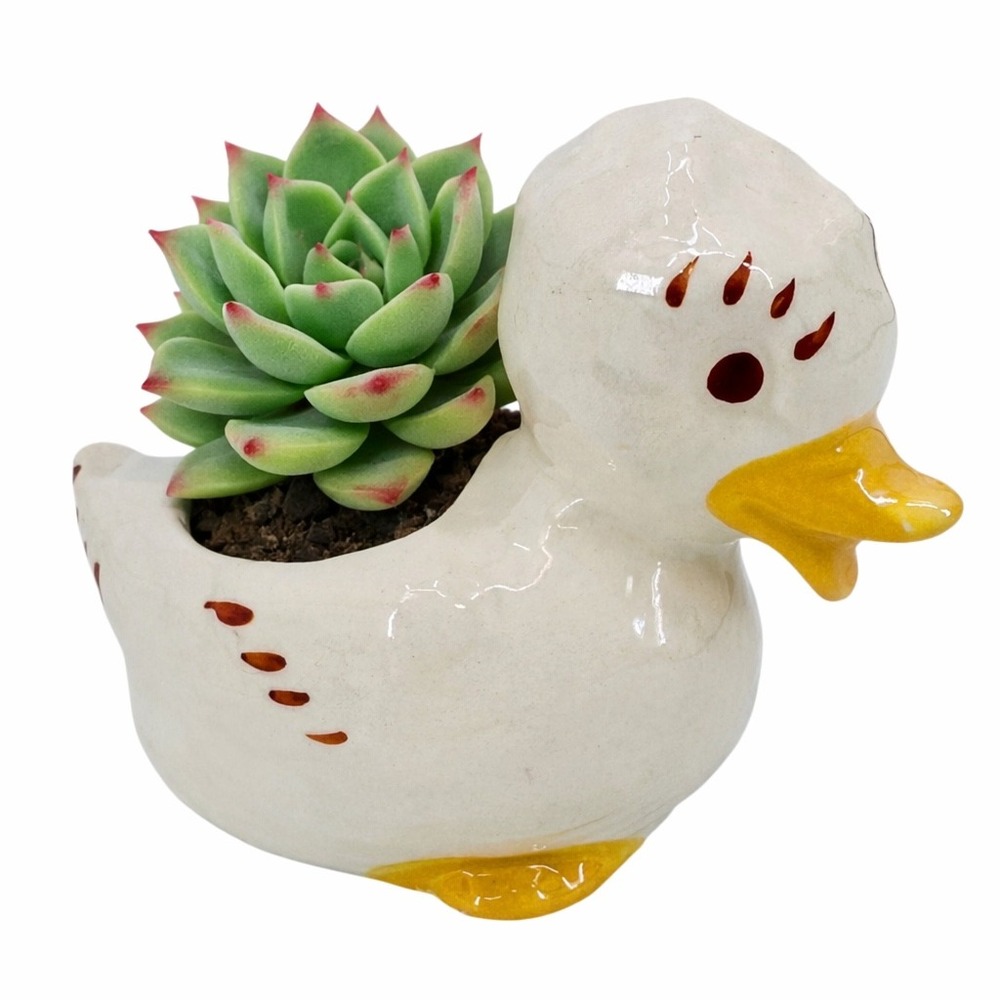 Vintage Ceramic Duck Planter White Yellow Spring Easter Summer 5" 1950's